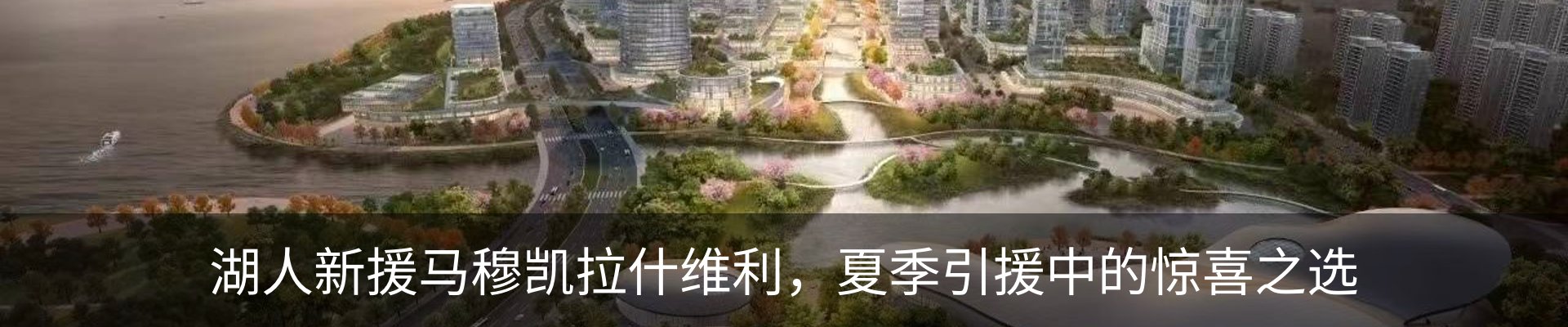 最新动态